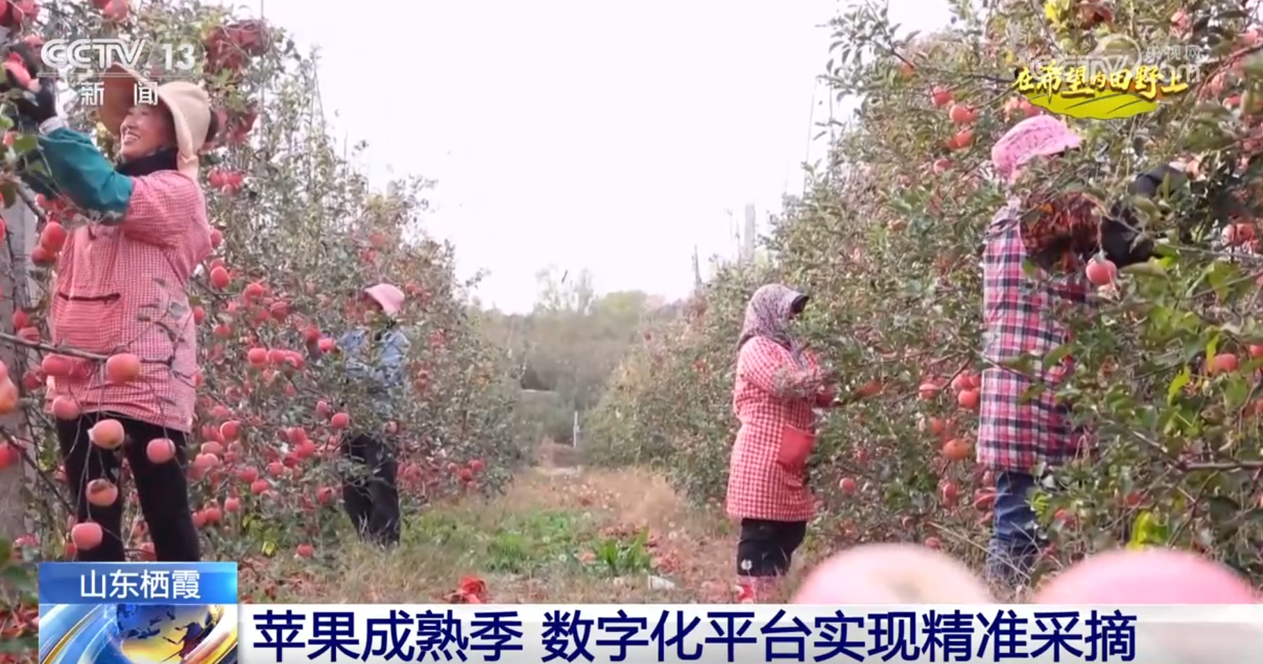 丰”景画卷 农业高“智”量发展行稳致远九游会网址是多少希望的田野上铺展多彩“(图1)
