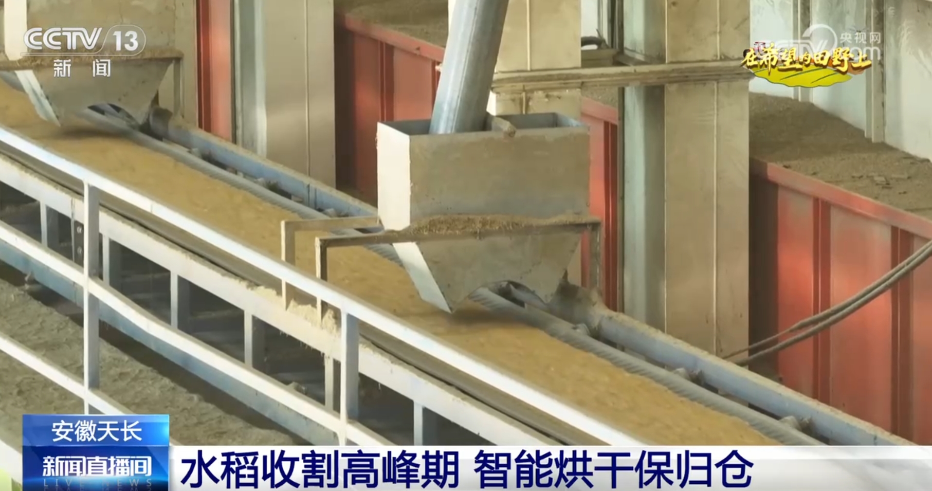 丰”景画卷 农业高“智”量发展行稳致远九游会网址是多少希望的田野上铺展多彩“(图6)